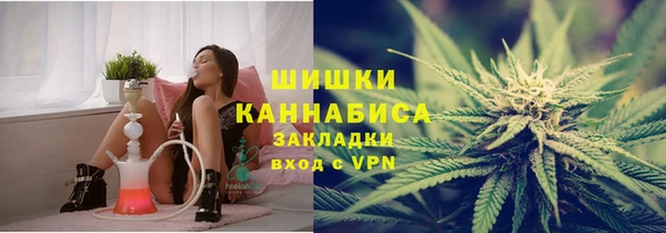 дурь Бронницы