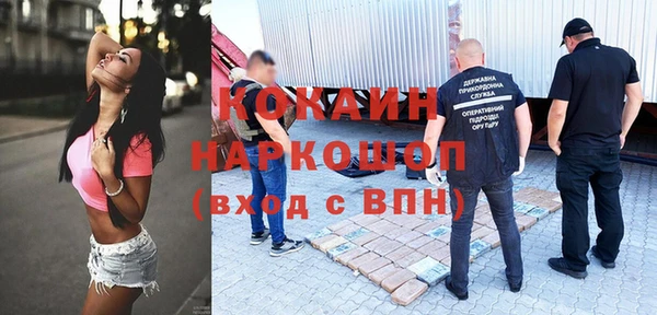 дурь Бронницы
