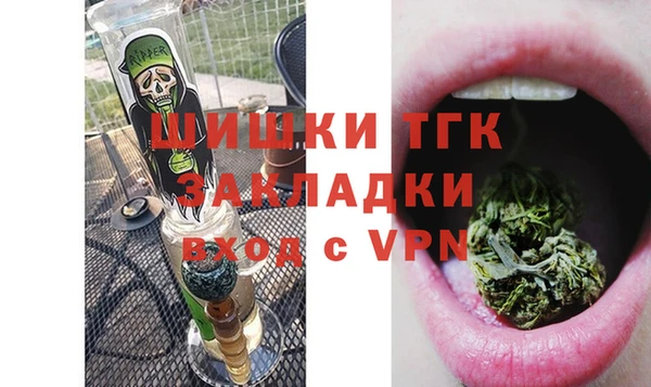 дурь Бронницы