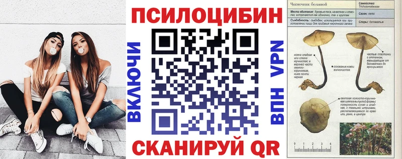 Псилоцибиновые грибы мицелий  даркнет сайт  Иркутск 